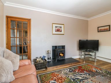 A living room with a wood burning stove television on a stand and a patterned rug at Bron Aber in Arthog near Dolgellau 