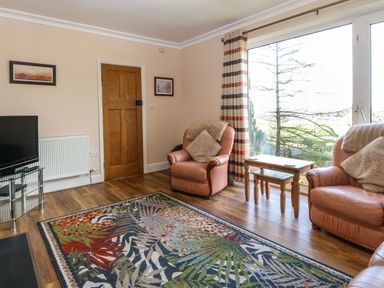 A living room with two armchairs a wooden door a TV on a glass stand and a large window with striped curtains at Bron Aber Arthog near Dolgellau