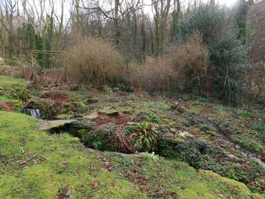 A small garden area with green grass moss stone slabs bushes and trees at Bron Aber Arthog near Dolgellau