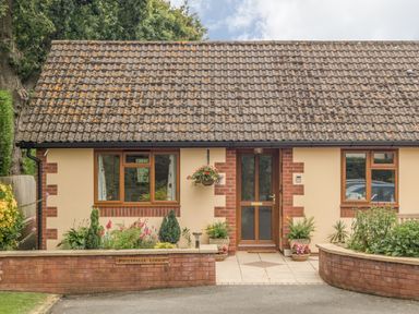 A bungalow with a tiled roof windows and a wooden door with plants in front at Pipistrelle Lodge in Plymtree