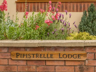 A garden bed with pink and purple flowers and a wooden sign saying Pipistrelle Lodge on a brick wall at Pipistrelle Lodge in Plymtree