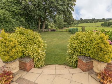 A garden with shrubs trees and a lawn beyond steps at Pipistrelle Lodge in Plymtree