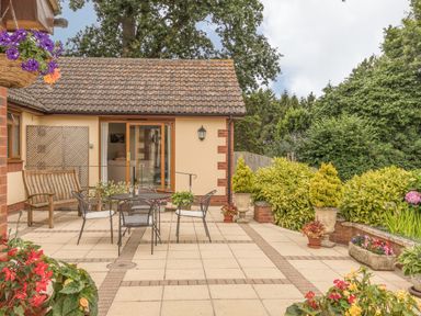 A patio with metal table and chairs wooden bench and various potted plants at Pipistrelle Lodge in Plymtree