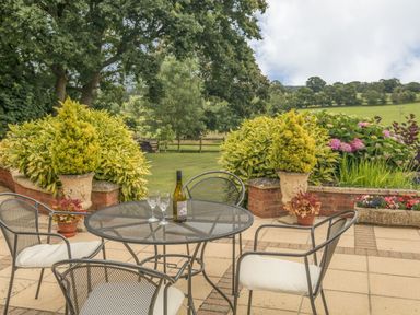 An outdoor patio with a round metal table and four chairs with cushions a bottle and two glasses on the table and plants in pots on a brick wall at Pipistrelle Lodge in Plymtree