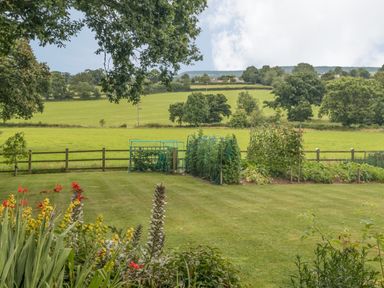 A garden with vegetable plots and flowering plants overlooking a field and trees at Pipistrelle Lodge in Plymtree