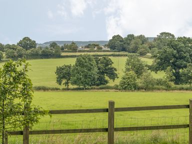 A green field with trees and a wooden fence in the foreground at Pipistrelle Lodge in Plymtree