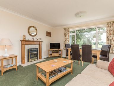 A living room with a fireplace a coffee table a TV and dining table with chairs at Pipistrelle Lodge in Plymtree