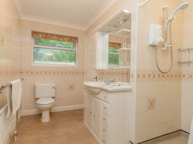 A bathroom with a toilet sink cabinet mirror and shower at Pipistrelle Lodge in Plymtree