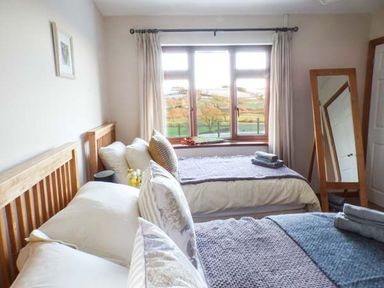 A bedroom with two beds pillows blankets a window with curtains and a floor mirror at Tynddol Bungalow in Llanbadarn-Fynydd near Llanbister