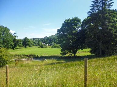 A grassy field with trees and a fence under a blue sky at Tynddol Bungalow in Llanbadarn-Fynydd near Llanbister