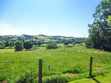 A green field with trees and hills in the distance under a blue sky at Tynddol Bungalow in Llanbadarn-Fynydd near Llanbister