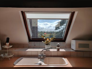 A kitchen sink with a faucet under a skylight window with a plant soap dispenser knife holder and microwave at The Coach House in North Newton near Bridgwater