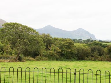 A fenced grassy field with trees and mountains in the background at Y Berth Ddu Farmhouse Clynnog Fawr