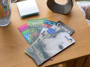 A wooden table with leaflets including a seal conservation brochure and a glass vase at The Moorings in Deganwy near Llandudno