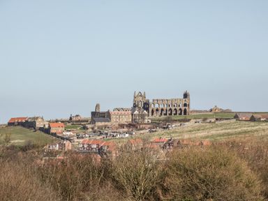 A landscape view of a hill with old stone buildings and a large ruined abbey at Sunnybrae in Whitby