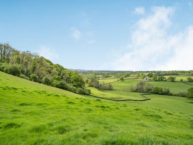 A green hillside with trees and fields under a blue sky at Bwthyn-y-Rhiw Penybanc near Llandeilo