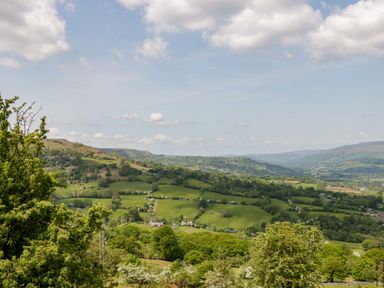 A landscape with green hills and trees under a cloudy sky at Bwthyn-y-Rhiw Penybanc near Llandeilo