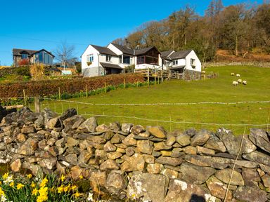 A rural house on a hill with a stone wall and grazing sheep at Browside Little Arrow near Coniston