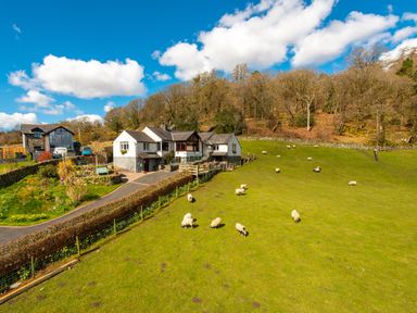 A countryside house with a driveway and sheep grazing on a grassy field in front of trees at Browside in Little Arrow near Coniston