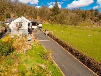 A driveway leading to a white house with stone accents and a garden with a bench and plants near a field with sheep at Browside in Little Arrow near Coniston