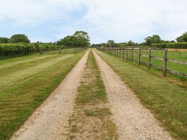 A gravel pathway bordered by grass fields and wooden fences leading to trees at Tawny Owl Barn in Shipdham near Dereham