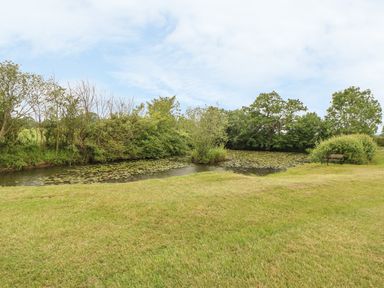A grassy area with a pond covered in lily pads surrounded by trees and bushes with a bench on the right at Tawny Owl Barn in Shipdham near Dereham