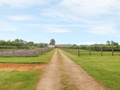 A gravel driveway leading to buildings with fenced paddocks on both sides in a rural area at Tawny Owl Barn in Shipdham near Dereham