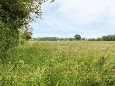 A grassy field with trees and electrical poles in the distance at Tawny Owl Barn in Shipdham near Dereham