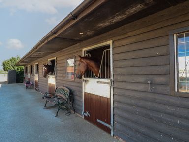 Horses in stables with a bench outside at Tawny Owl Barn Shipdham near Dereham