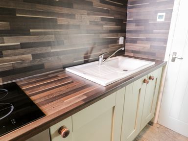 A kitchen countertop with a white sink and faucet next to a black electric stove and light green cabinets at Nutshell in Whitby
