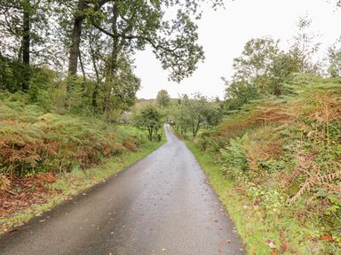 A paved road lined with trees and bushes leading to a distant house at Crabtree in Hawkshead