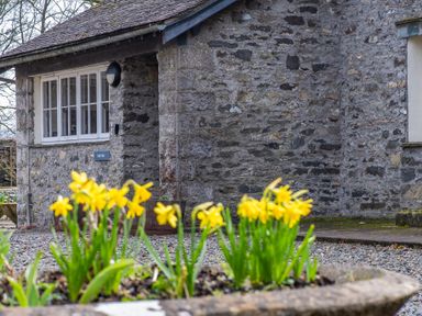 Yellow flowers in a stone planter with a stone building and window in the background at Crabtree in Hawkshead