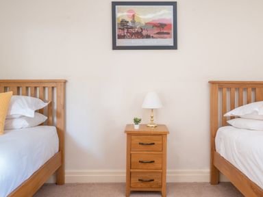 A bedroom with two wooden beds separated by a wooden bedside table with a lamp and small plant with a framed picture on the wall at Lords Leap in Graythwaite near Hawkshead