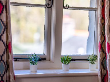 A window with three small potted plants on the windowsill and patterned curtains on the sides at Lords Leap in Graythwaite near Hawkshead
