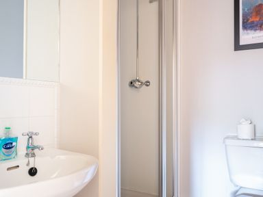 A bathroom with a sink and liquid soap, a shower cubicle, and a toilet with a roll of toilet paper on top at Lords Leap in Graythwaite near Hawkshead