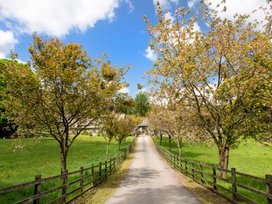A paved driveway lined with trees and wooden fences leading to a house in a green field at Bassicks Hawkshead