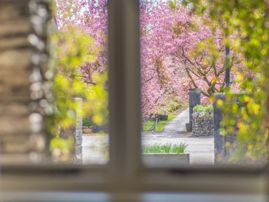 A pathway lined with pink flowering trees viewed through a window with stone walls and greenery at Bassicks in Hawkshead