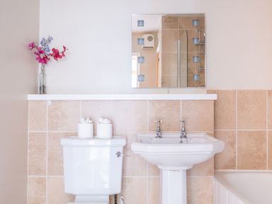 A bathroom with a white toilet, white pedestal sink, mirror, and a vase with flowers at Bassicks in Hawkshead