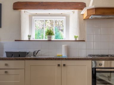 A kitchen countertop with a sink a gas stove paper towel and three small potted plants on the windowsill at Hilltop in Graythwaite near Hawkshead