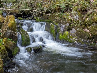 A small waterfall flowing over rocks covered with moss and surrounded by trees at Hilltop in Graythwaite near Hawkshead