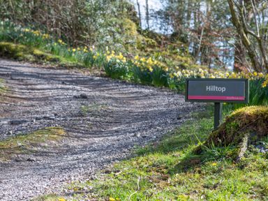 A gravel path with yellow flowers along the side and a sign that says Hilltop at Graythwaite near Hawkshead