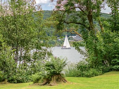 A sailboat on the water surrounded by trees at Hammerhole at the Graythwaite Estate Graythwaite Estate near Hawkshead