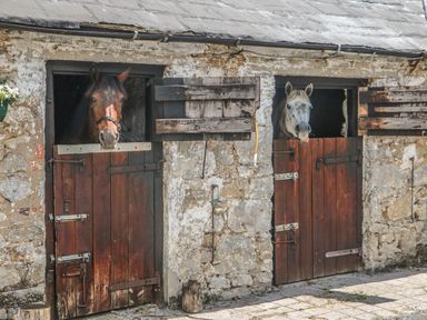 Two horses looking out from wooden stable doors in a stone building at Mrs Delaneys Loft in Ardfinnan near Clonmel County Tipperary