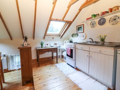 A kitchen with a wooden floor a stove a sink and a slanted window at Mrs Delaneys Loft in Ardfinnan near Clonmel County Tipperary