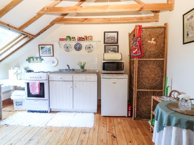 A small kitchen with a stove sink refrigerator microwave and a table with a flower vase at Mrs Delaneys Loft in Ardfinnan near Clonmel County Tipperary
