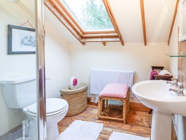 A bathroom with a toilet sink a skylight window and wooden floor at Mrs Delaney's Loft in Ardfinnan near Clonmel County Tipperary