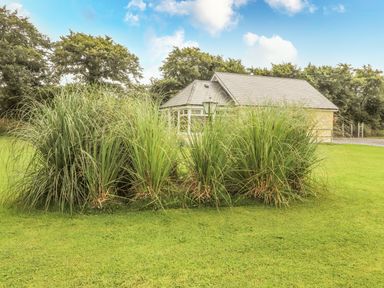 A garden with tall grasses and a small house with a grey roof behind it at Moybella Lodge in Lisselton near Ballybunion County Kerry
