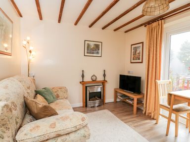 A living room with a sofa and cushions a small fireplace a television on a wooden stand and a dining table by a window at Woods Edge in Mitcheldean
