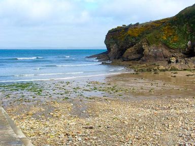 A rocky beach with scattered seaweed and a sea cliff in the background at The Grange in Little Haven near Haverfordwest