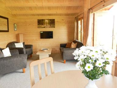 A living room with grey sofas a coffee table a TV mounted on a wooden wall and flowers on a dining table at Pennylands Willow Lodge in Broadway